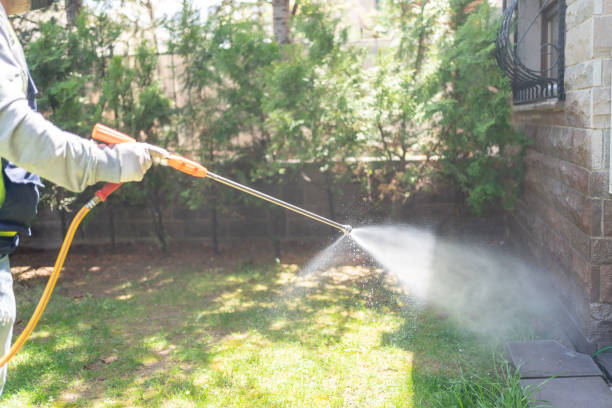 Emergency Pest Control in Murfreesboro, AR